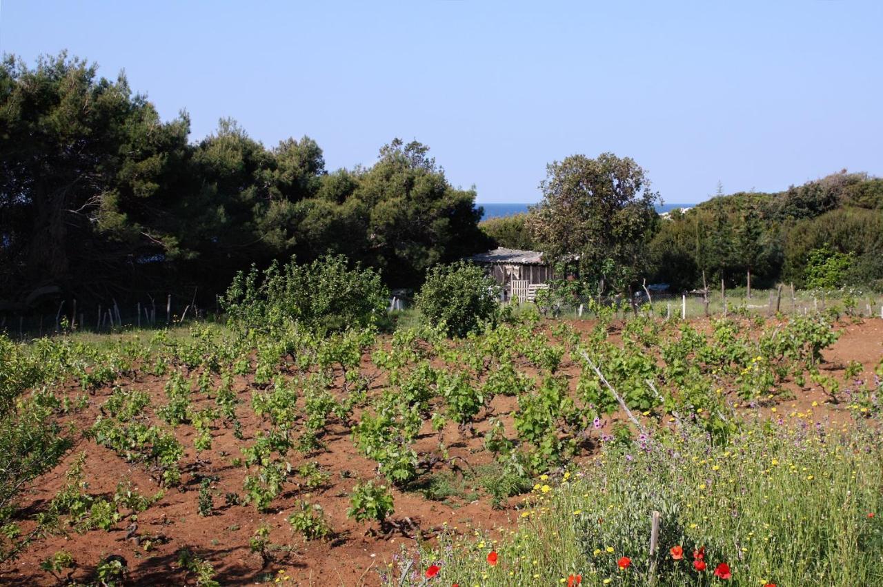 Apartments By The Sea Cove Blaca, Mljet - 4899 Saplunara Exterior foto